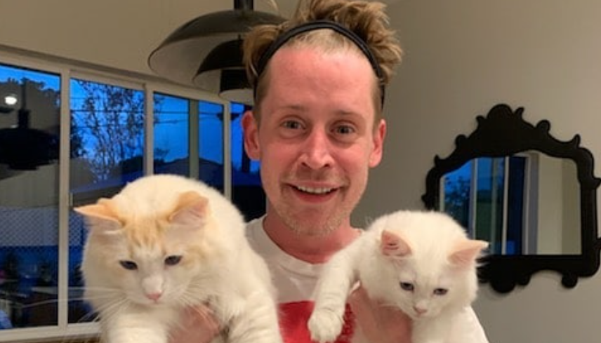 Macaulay Culkin z dwoma białymi kotami.