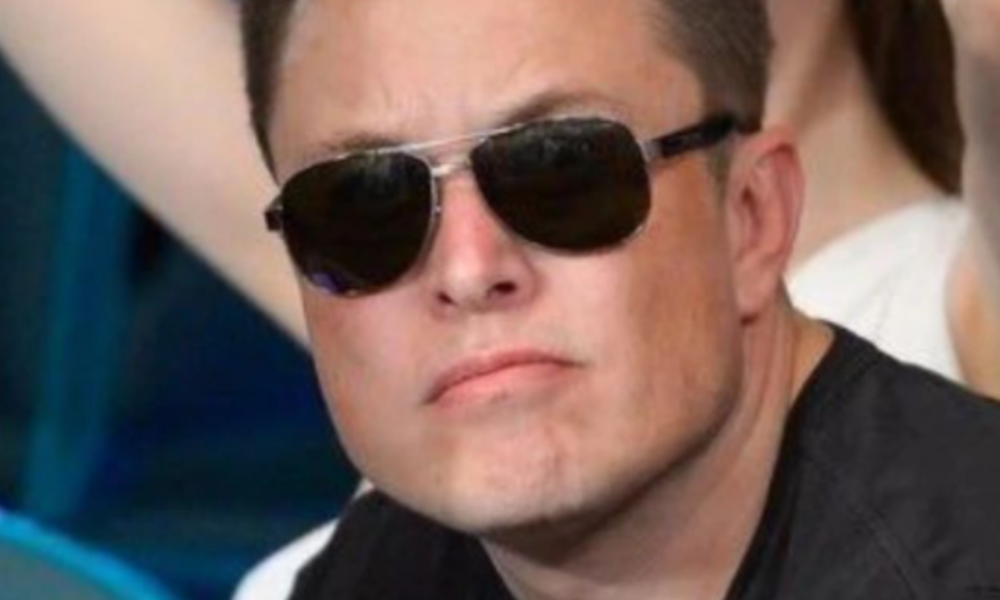 Elon Musk rzucił rękawice Putinowi! Do wyzwania wtrącił się…przywódca Czeczeni!