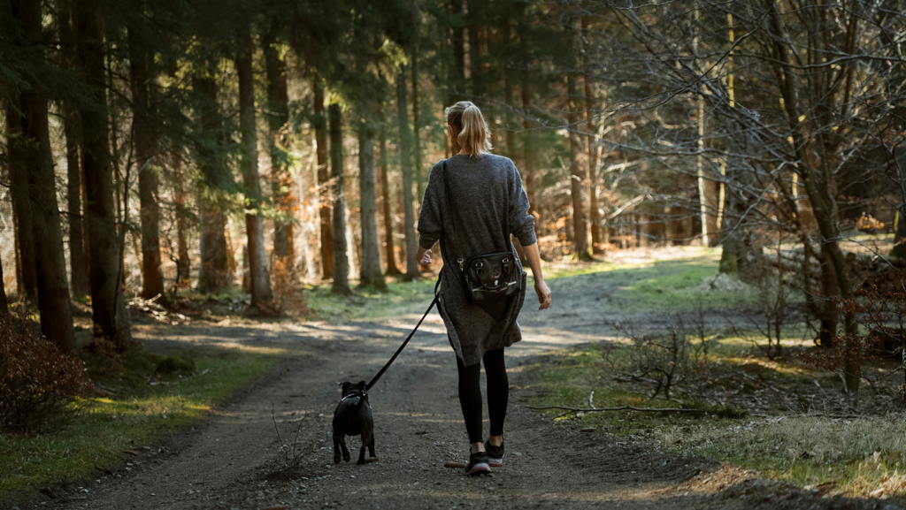 Spacer z psem w lesie