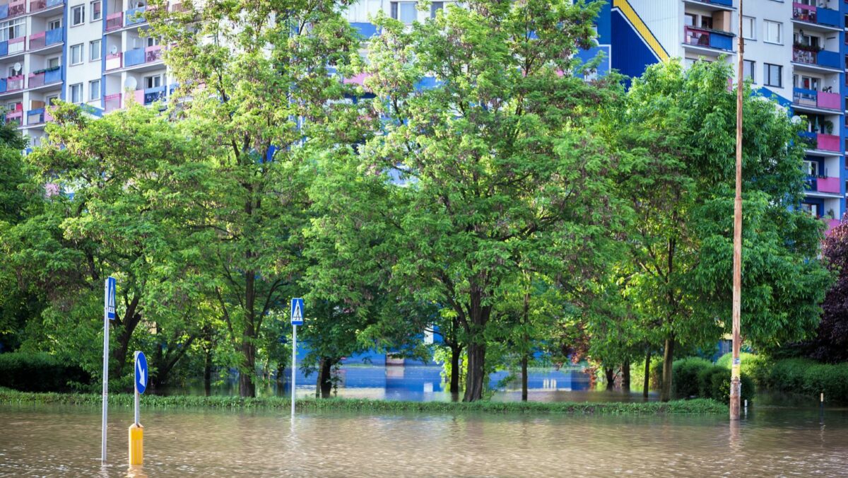 Fala powodziowa idzie w stronę Wrocławia.