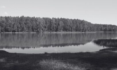 Sekcja zwłok nastolatków.