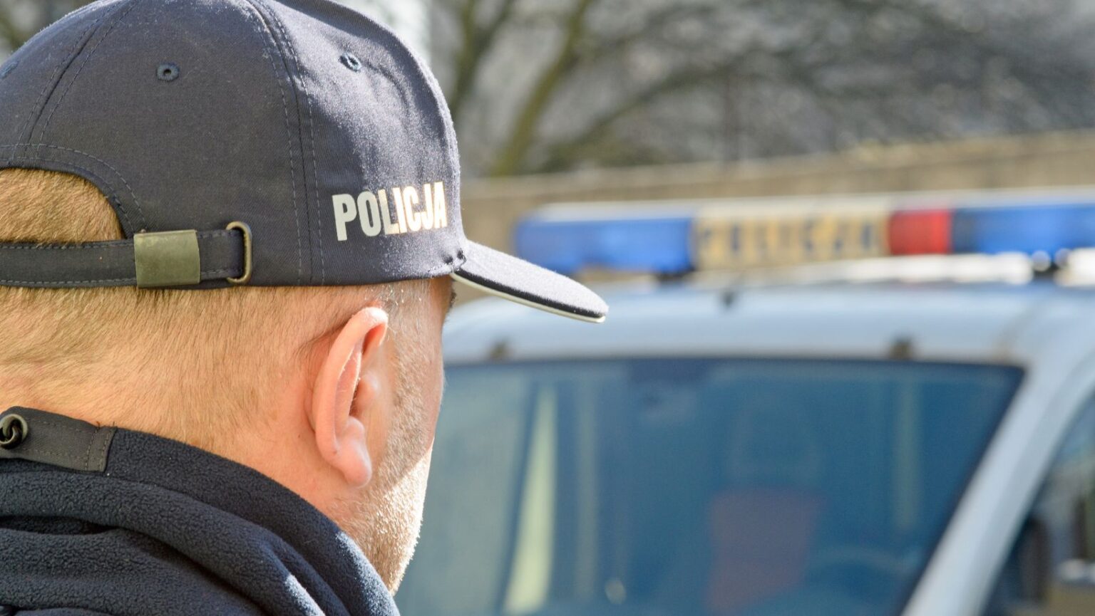 Co spadło na pole kukurydzy?