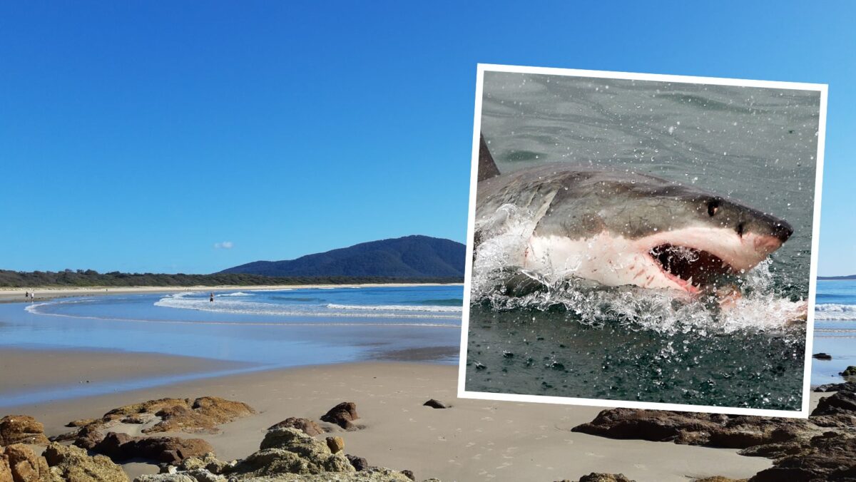 Tragedia na australijskiej plaży. Rekin zabił 20-latkę, towarzysz walczy o życie