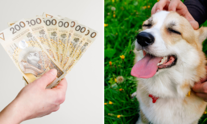 “Becikowe na 4 łapy”. Dostaniesz 1500 zł za adopcję psa