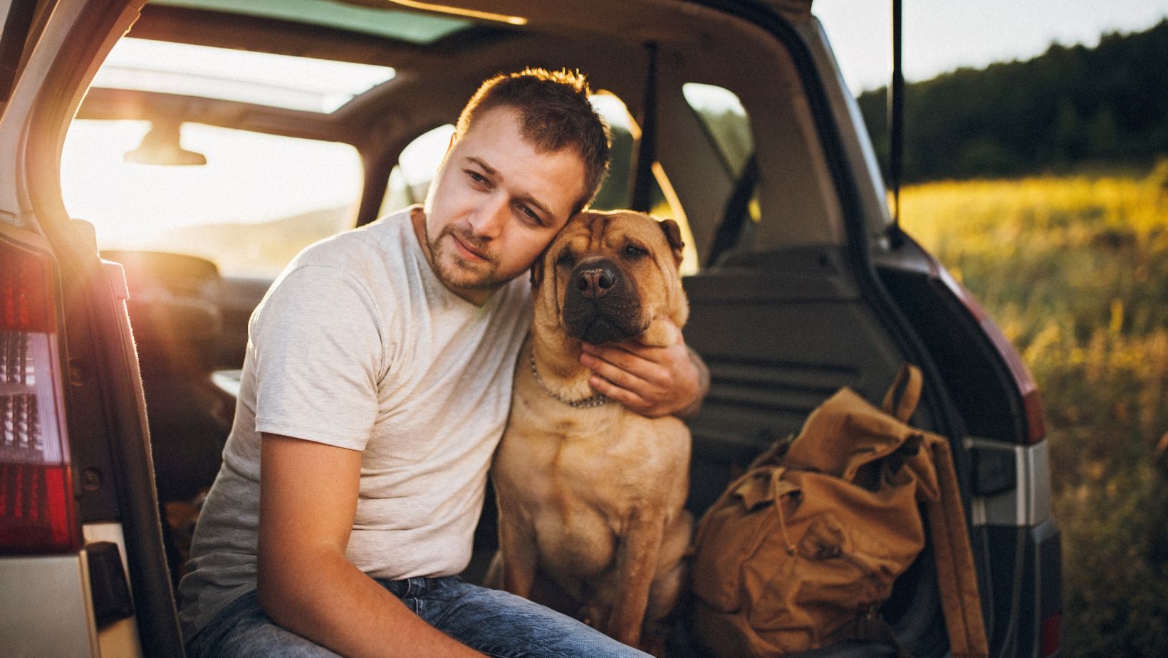 Oto sekretne sygnały, iż twój pies kocha cię bezgranicznie. Nie każdy właściciel to zauważa