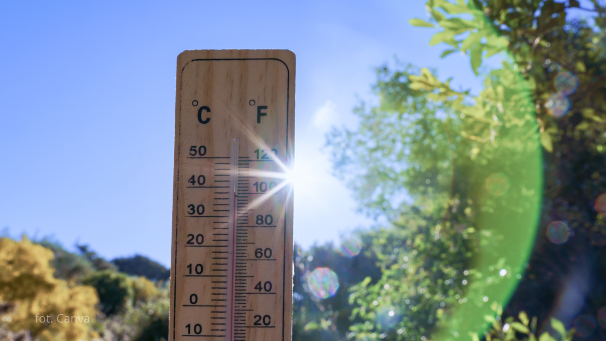 Wrzesień się od chłodu. Za tydzień temperatura znów poszybuje!