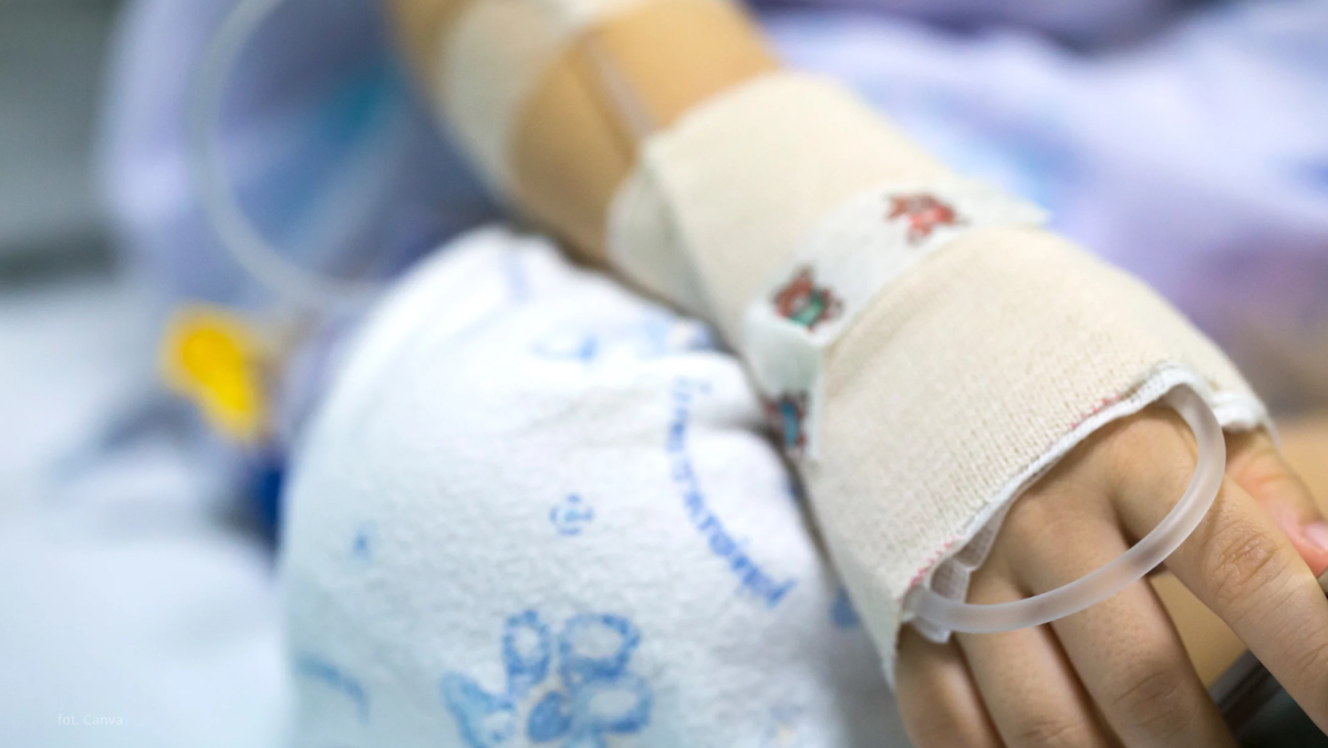 Wilk zaatakował 8-latkę. Dziewczynka w ciężkim stanie